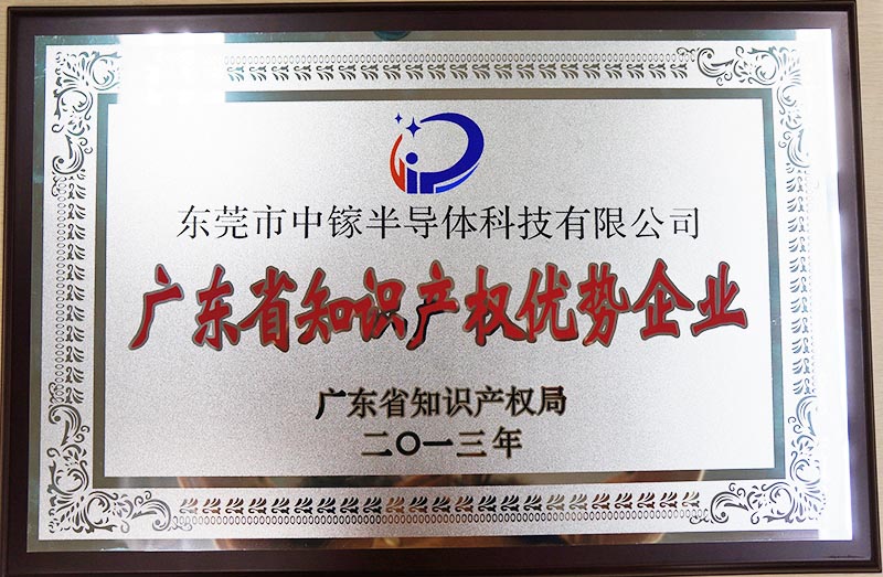 2013 Guangdong Province Intellectual Property Advantages Enterprise