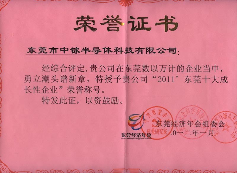 2011年东莞十大成长性企业